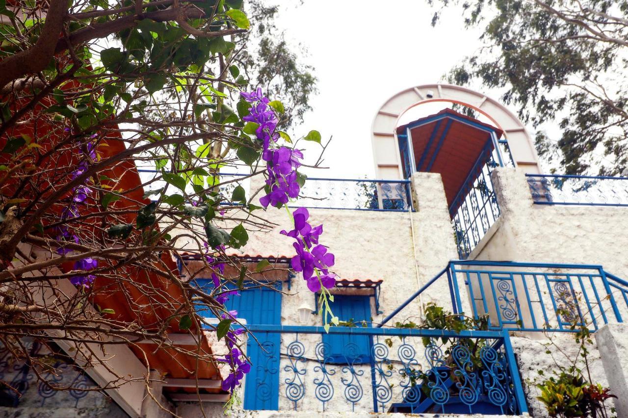 Hotel Greek Glory بانتشجانى المظهر الخارجي الصورة